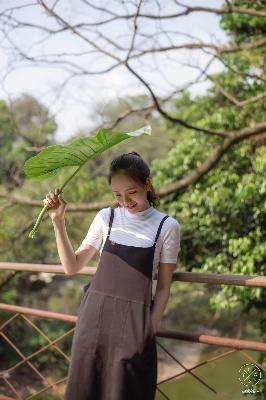 美丽的姑娘高清版在线观看