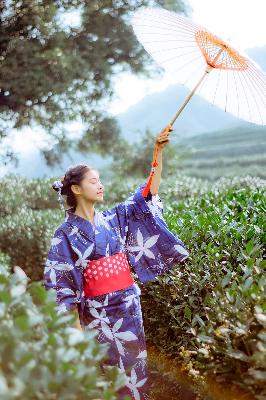 晚秋电影手机在线观看免费,原来新神马电影手机版